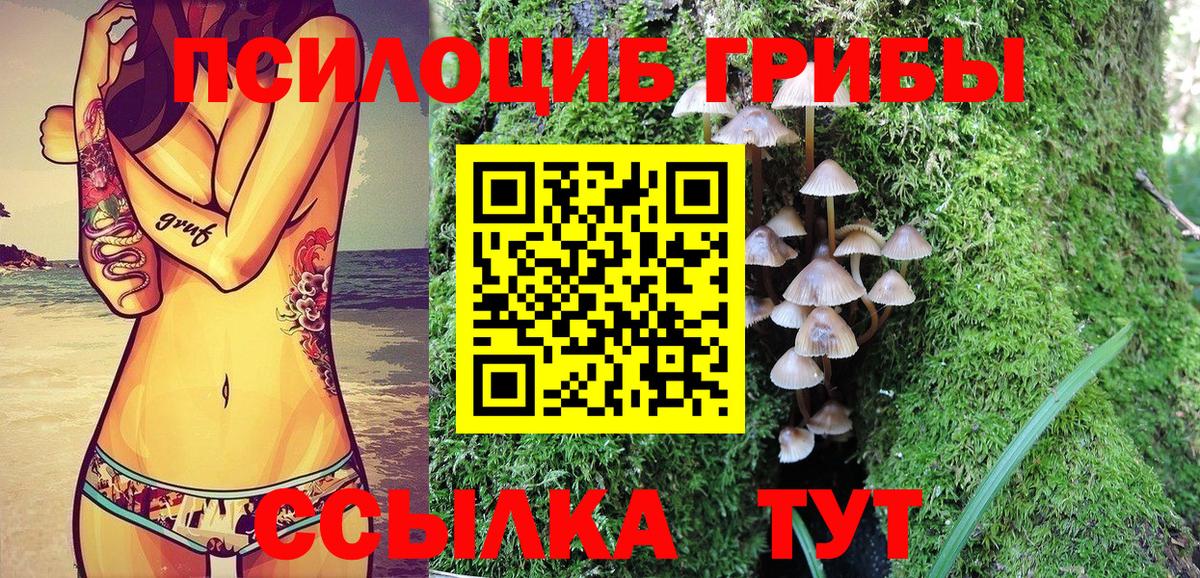 Галлюциногенные грибы ЛСД Ноябрьск