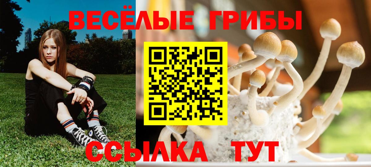 Галлюциногенные грибы мухоморы  Вход с VPN  Ноябрьск 